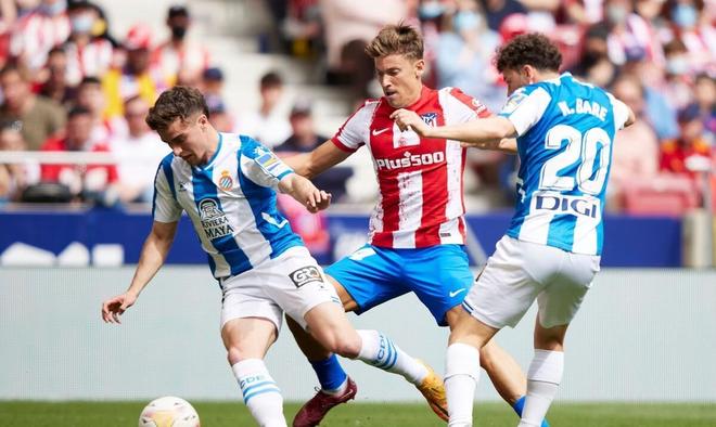 也为其他选 也为其他选